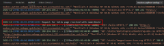 Screenshot: Beispiel für Streamingprotokolle im Ausgabefenster von VS&nbsp;Code.