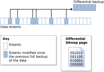 Differenzielle Bitmap identifiziert geänderte Bereiche