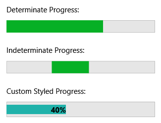 A typical ProgressBar control showing the blue progress indicator filling from left to right.
