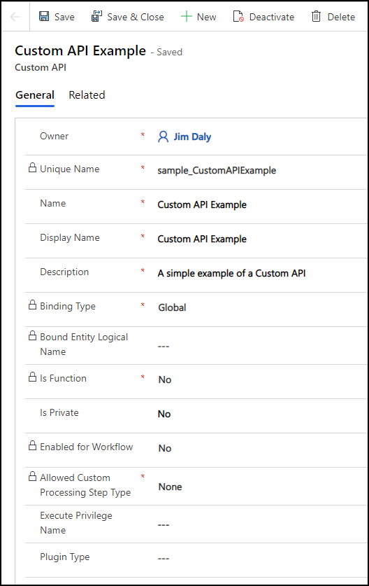 Screenshot of the saved custom API form with its configured properties.