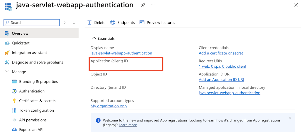 Screenshot of an app registration overview showing the application client ID and directory tenant ID fields.