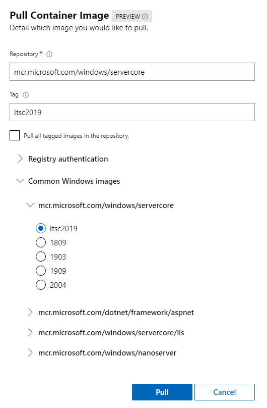 Screenshot of the Pull Container Image dialog, with fields for the repository and tag. Several common Windows images are available for selection.