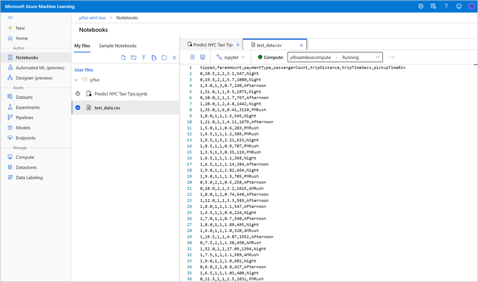 Screenshot che mostra il file C S V.