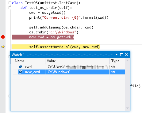 Schermopname van de uitvoer van foutopsporing voor een Python-eenheidstest in Visual Studio.