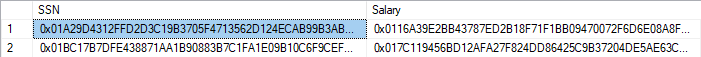 Captura de ecrã dos resultados do texto cifrado de colunas encriptadas.